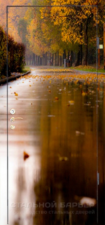 Дверь с фотопечатью №5